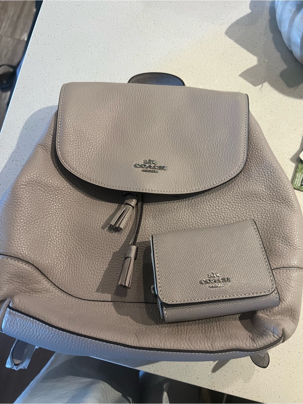 Coach Elle Backpack and Coin Wallet in Grey Birch